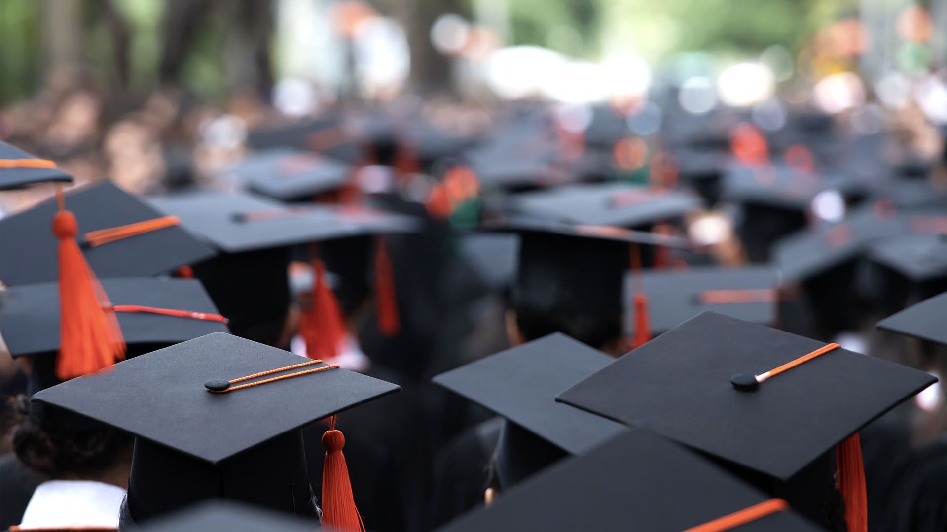 Back of heads of students wearing Graduation hats