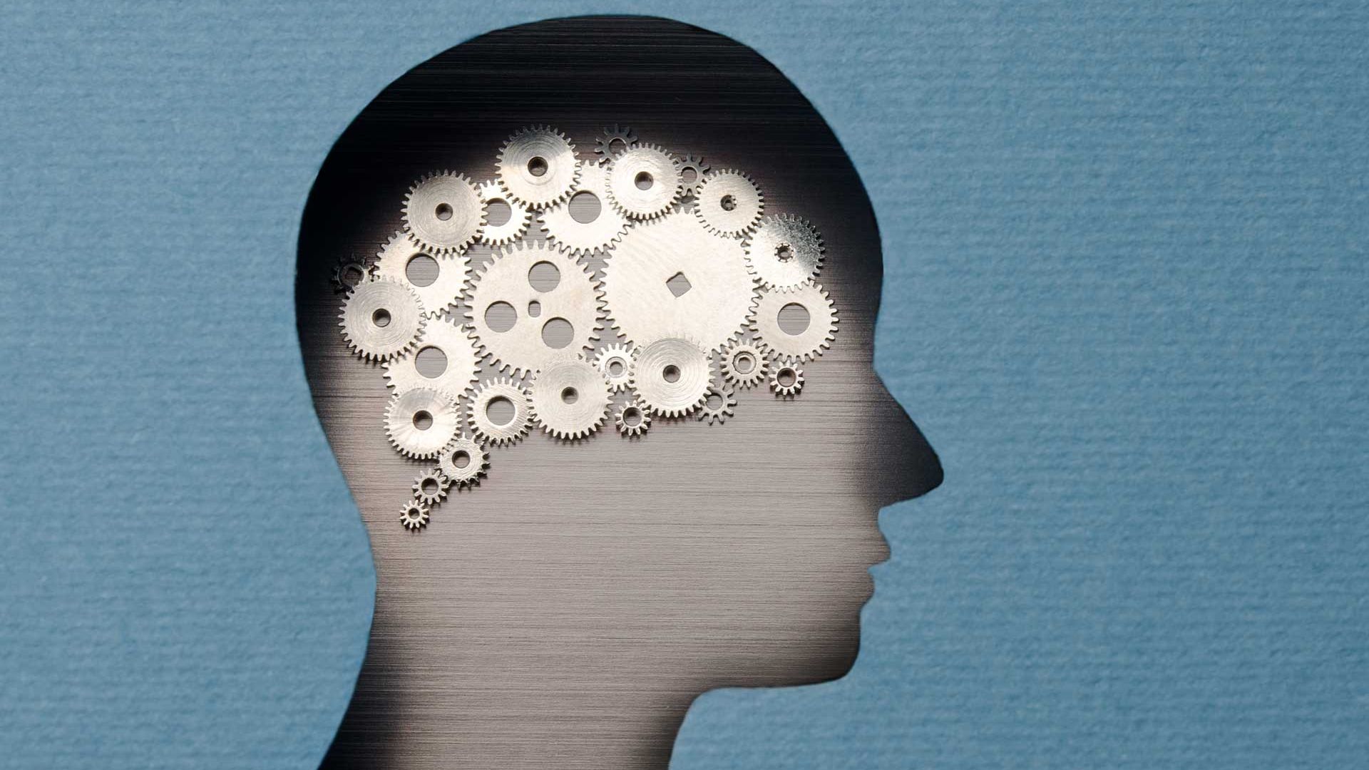 Psychology human mind cogs 