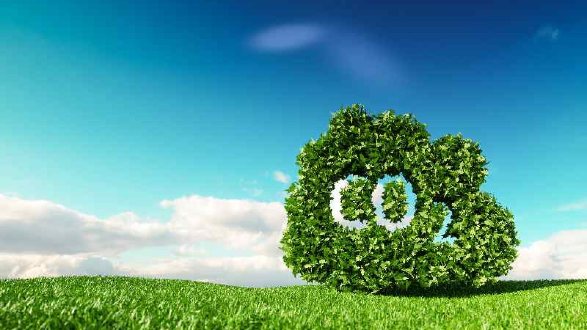 Carbon dioxide image for climate change story