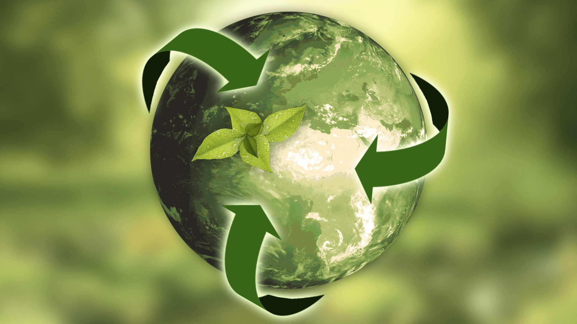 Sustainability and circular economy image