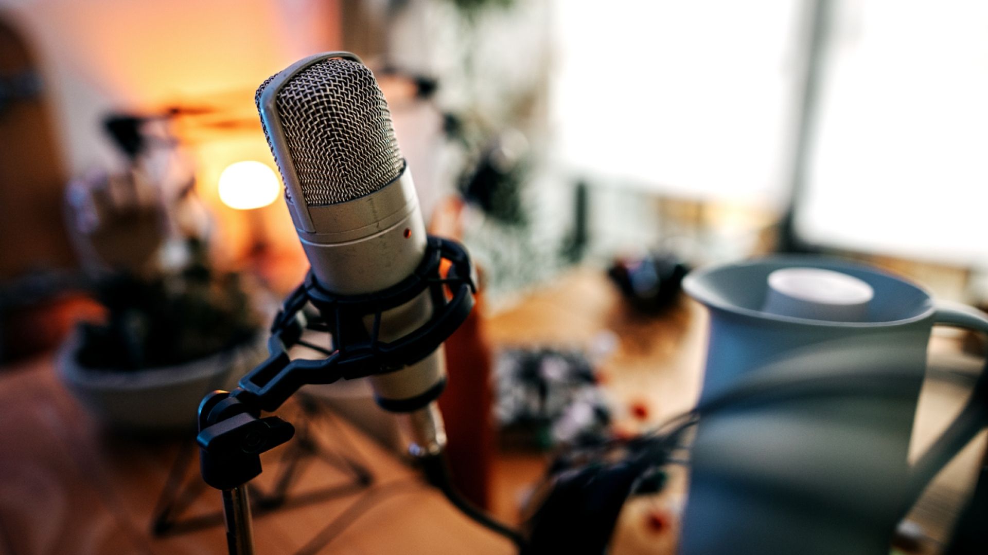 microphone set up for podcast session