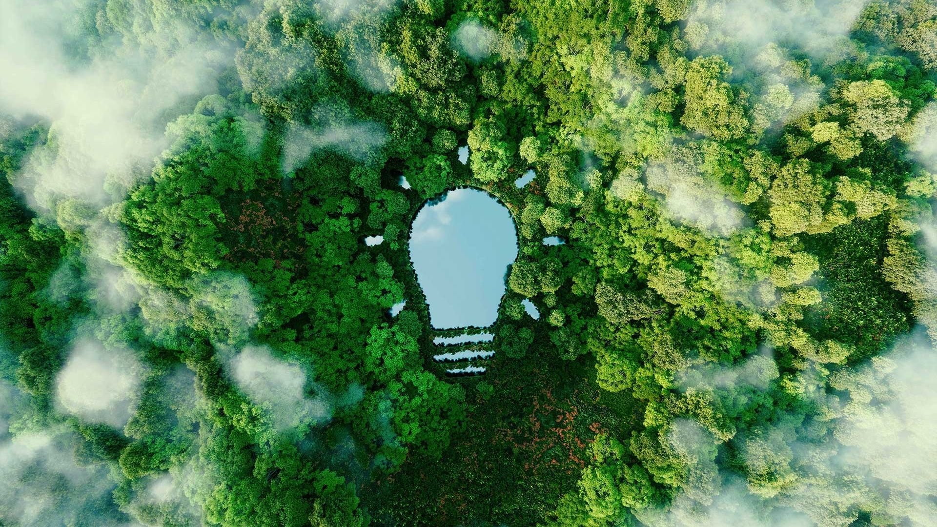 Aerial view of a forest with a lake in the shape of a lightbulb reflecting the sky