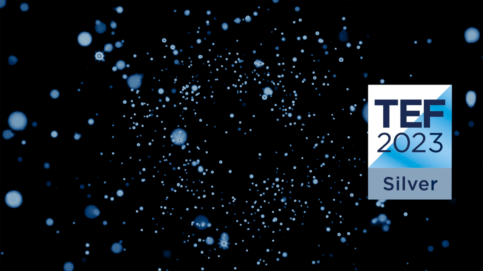 TEF SIlver logo over sparkly background