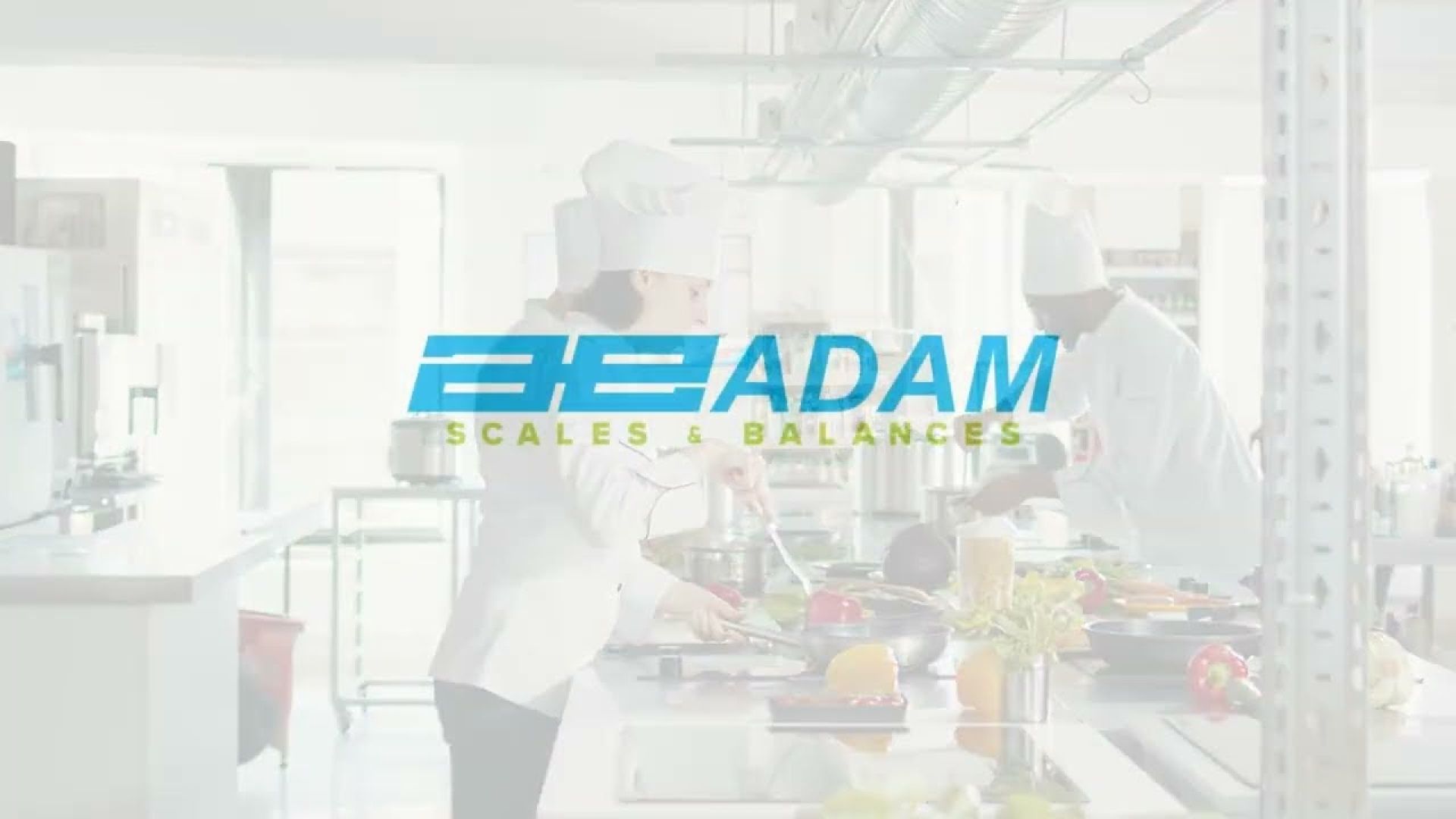 Adam Equipment logo