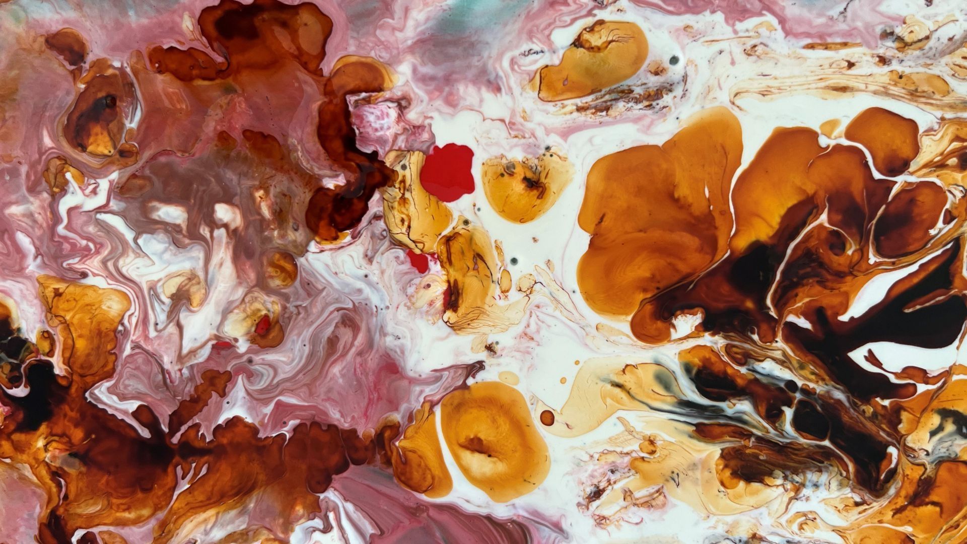 Fine Art Header image