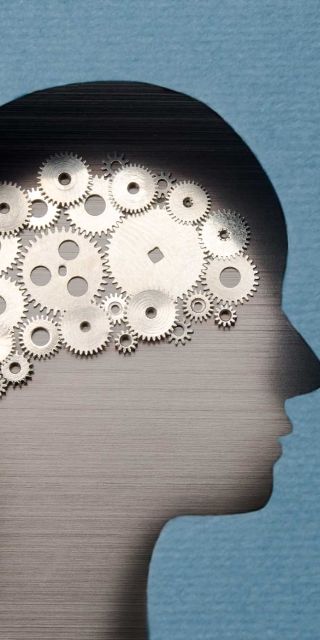 Psychology human mind cogs 