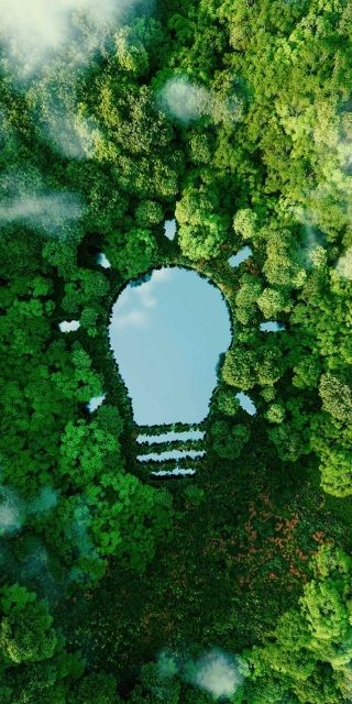 Aerial view of a forest with a lake in the shape of a lightbulb reflecting the sky