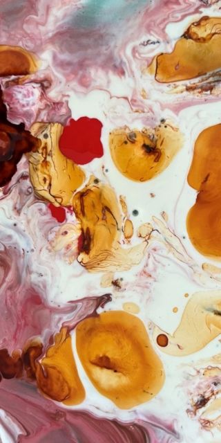 Fine Art Header image