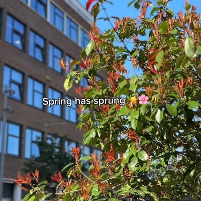Spring has finally returned, and we’re loving the extra colour and blooms popping up around campus 😍☀️

Happy first day of spring! 🌸