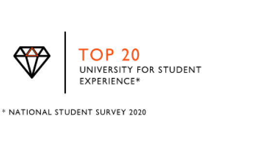 top 20 university for student experience 
