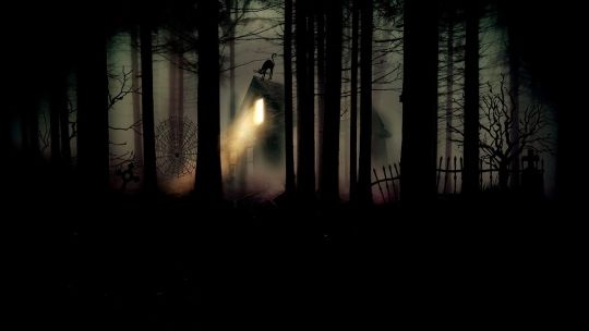 Very dark image of a wooded area with a house in the background. There is a light coming from the house