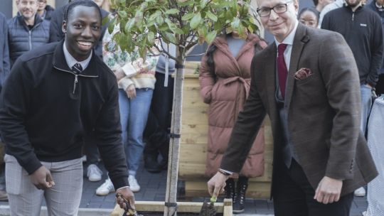 tree plant partnership