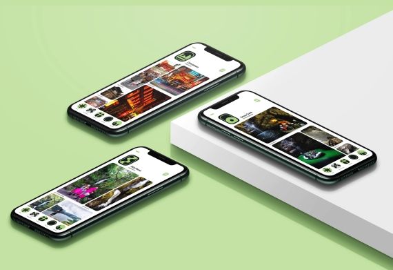 Two phones on a green background and one phone on a white background, all show a screen with an app to download on it.