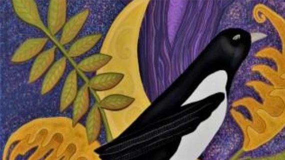 Sue Elders' illustration of a blackbird 