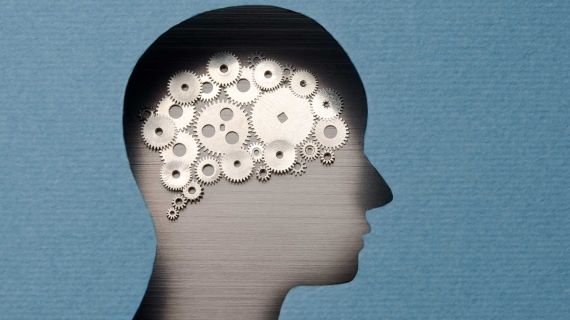 Psychology human mind cogs 