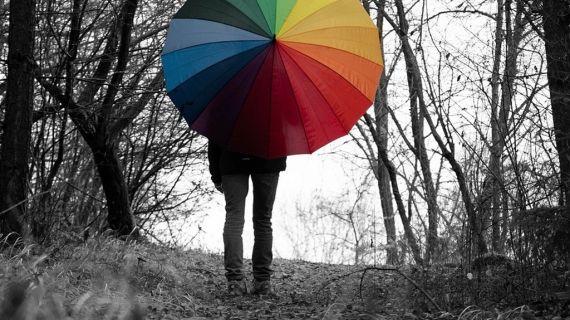 colourful balloons in a grey woodland