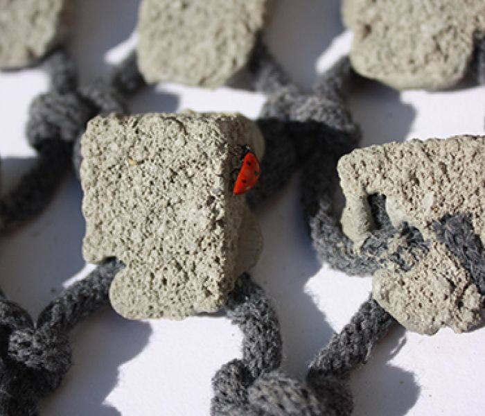 A ladybird sitting on a rock