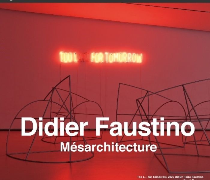 A poster which text over the top which reads "Didier Faustino Mesarchitecture".