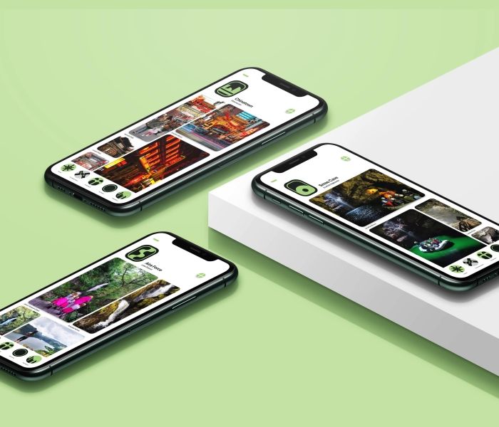 Two phones on a green background and one phone on a white background, all show a screen with an app to download on it.