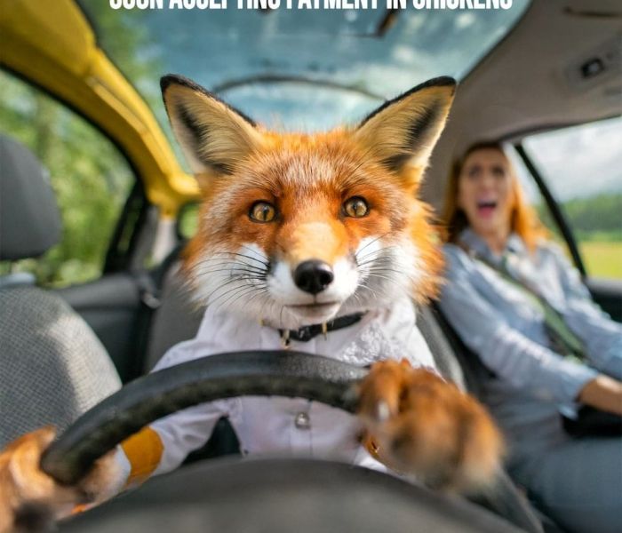 United Nations Fox Creative Advertising poster