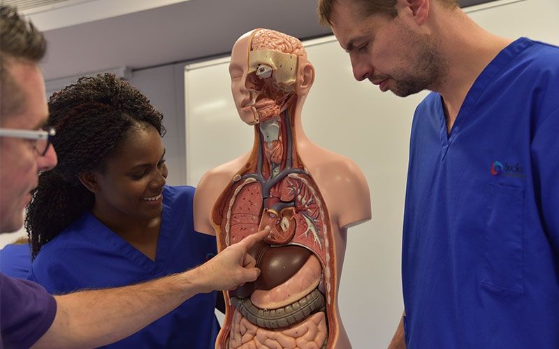 Bucks lecturer showing students an inside section of a mannequin