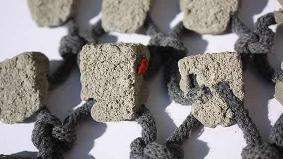 A ladybird sitting on a rock