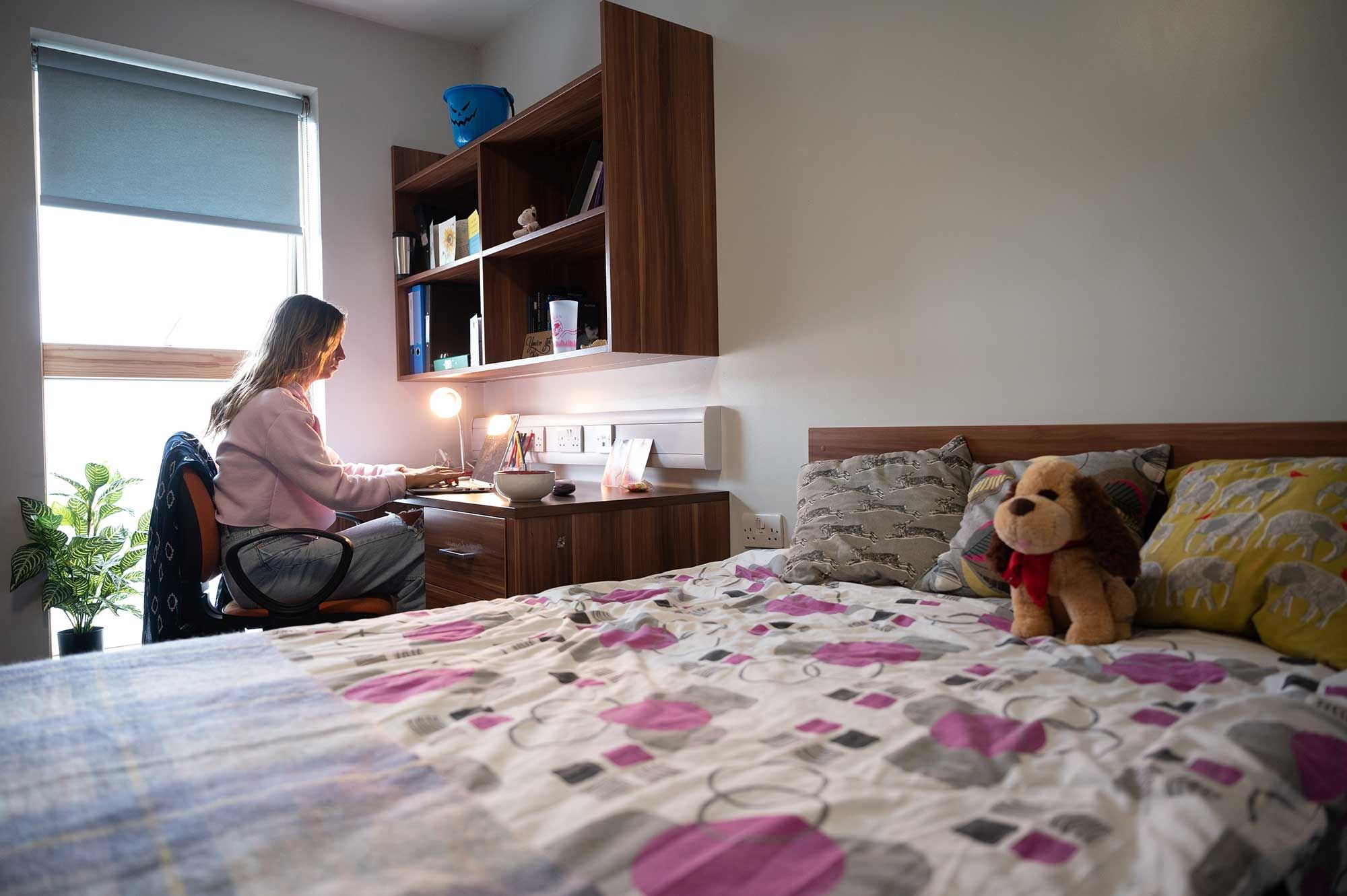 A student sitting at their desk in a Windsor House bedroom