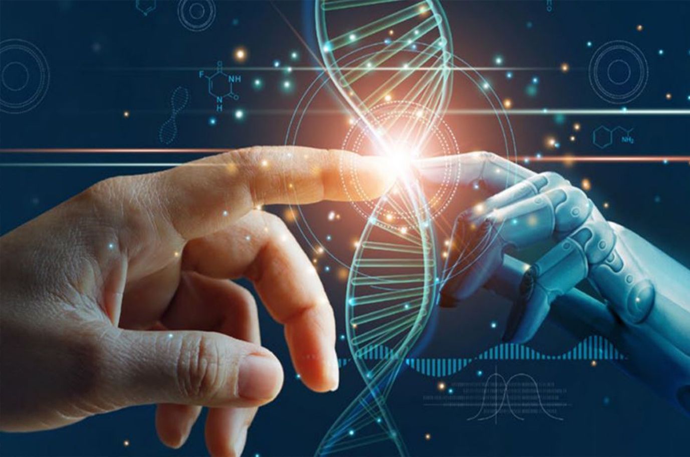 Strength and Conditioning in Tactical Populations banner