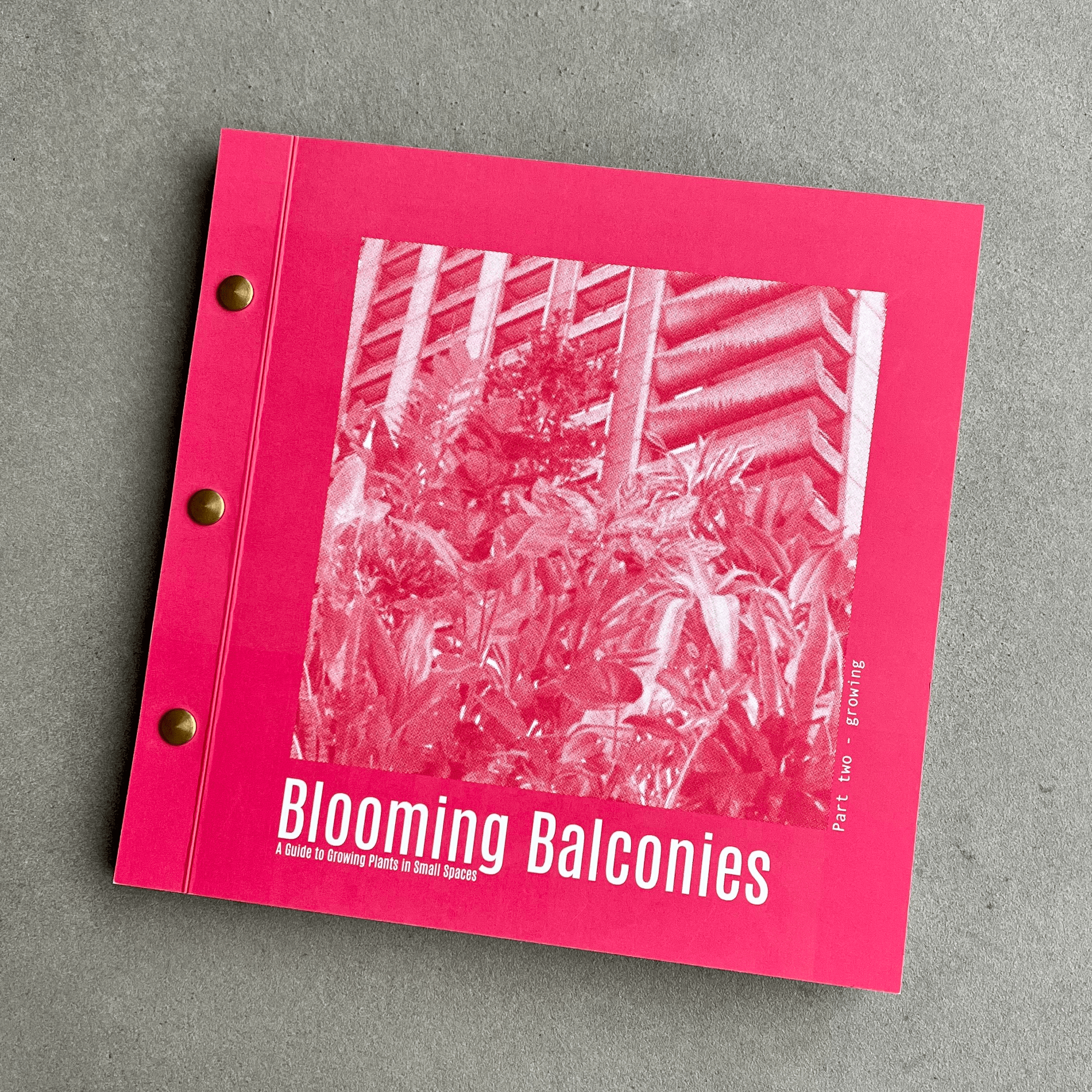 A closed bright pink book with a tower block and flowers as the cover photo. It has text which reads "Blooming Balconies" on.