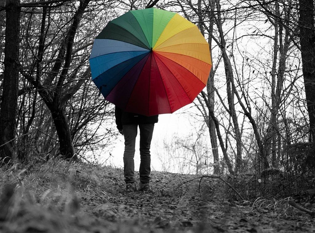 colourful balloons in a grey woodland