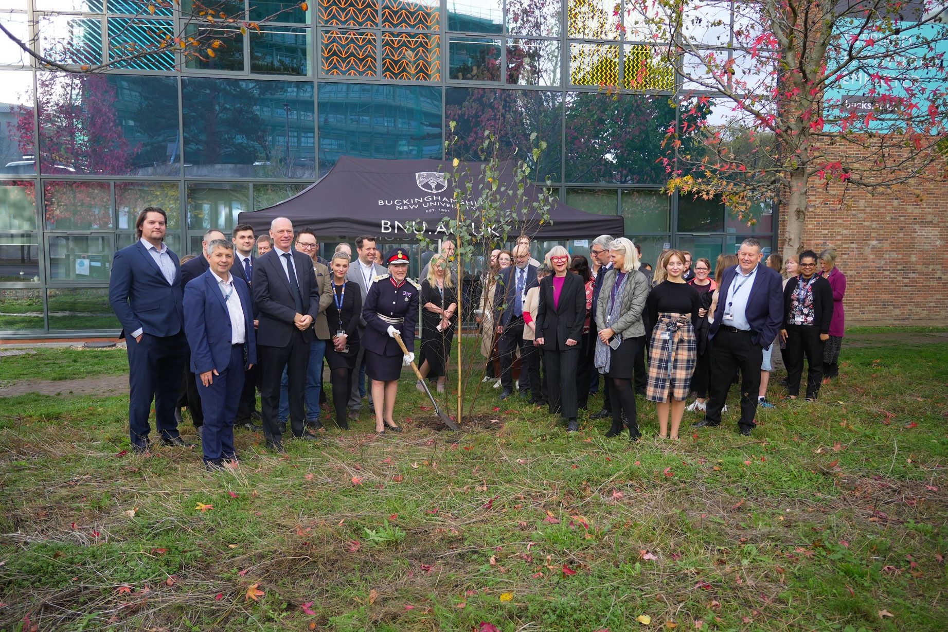 BNU colleagues gather around Queens tree