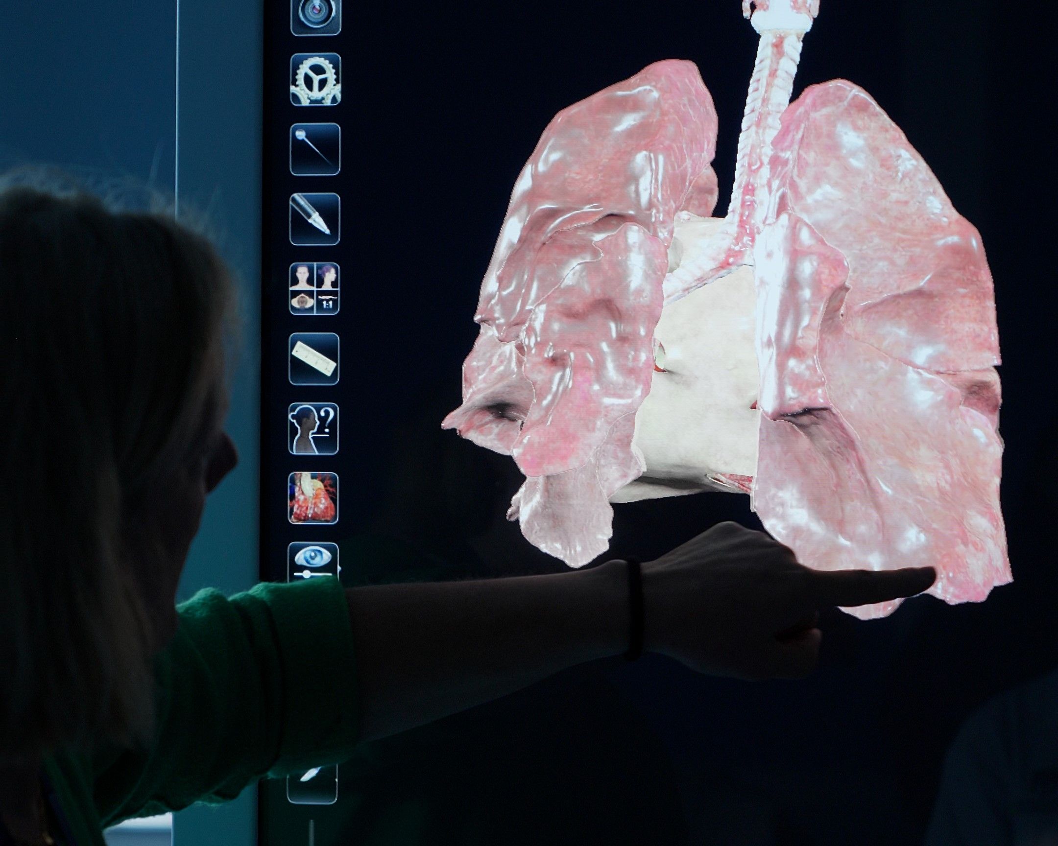 Lecturer pointing to a 3D digital anatomical model of the human lungs displayed on a interactive screen